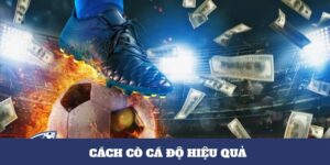 Cách cò cá độ hiểu quả