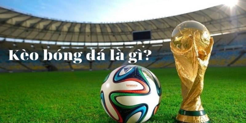 Hướng dẫn cá cược bóng đá nắm rõ kèo 