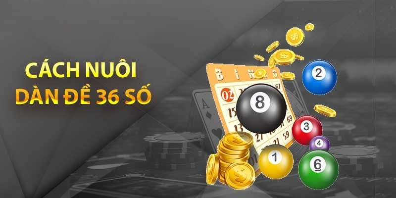 hướng dẫn nuôi dàn đề 36 số hiệu quả