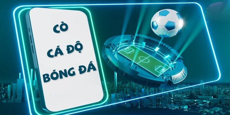 Tìm hiểu thông tin cơ bản 